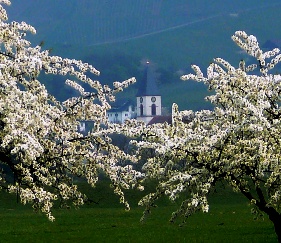 St. Batholomäus, Ortenberg